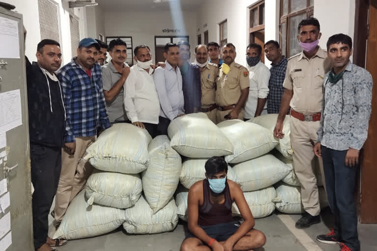 Jodhpur news, Smuggler arrested, doda post seized