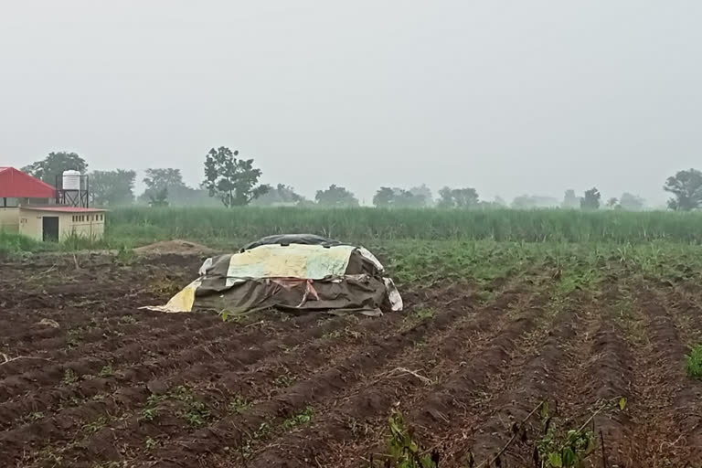 crops in satara