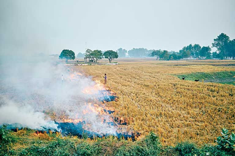 burning of crop waste