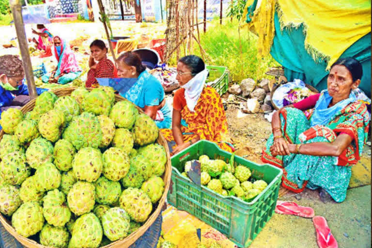 Custard apple are available at higher price