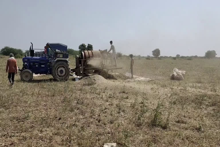 सोयाबीन की पैदावार कम, Soybean yield reduced