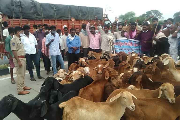 protest for second phase sheep distribution in telangana at janagaon