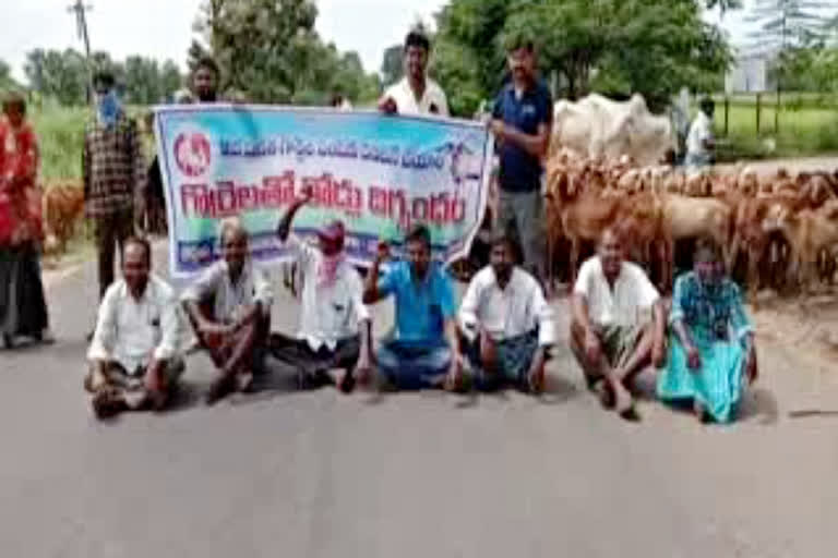 second phase sheep distribution demand in mahabubabad district