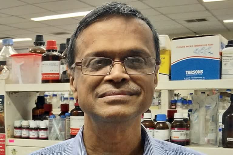 IIT Madras Researchers Develop Sustainable Anti-Bacterial Food Wrapper