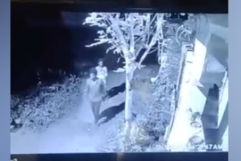 cctv-footage-of-goat-theft
