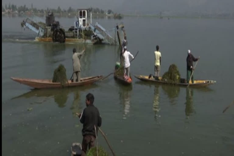 Dal Lake