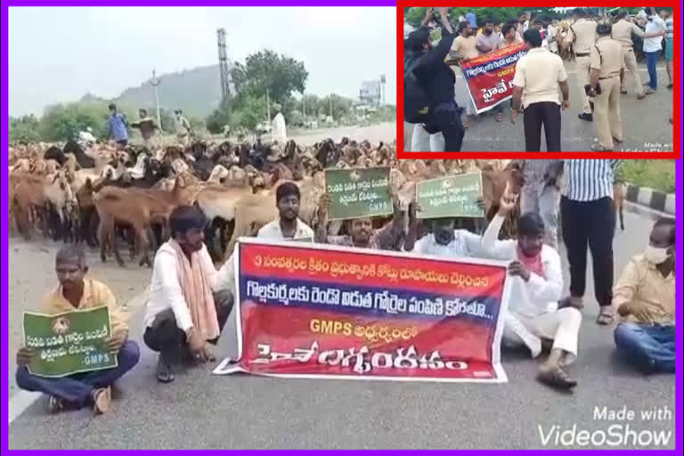 dharna with sheeps on hyderabad warangal highway