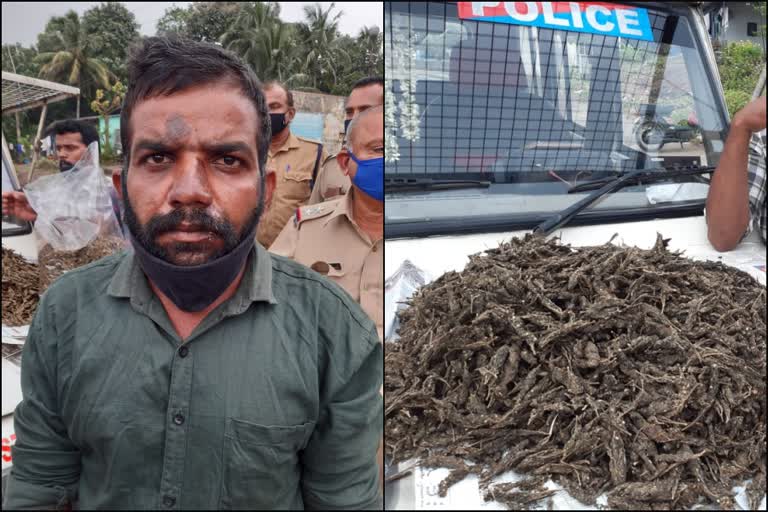 ganja seizure  palakkad  walayar  ganja seizure in palakkad  കഞ്ചാവ് വേട്ട  പാലക്കാട്  വാളയാർ  പാലക്കാട് കഞ്ചാവ് വേട്ട