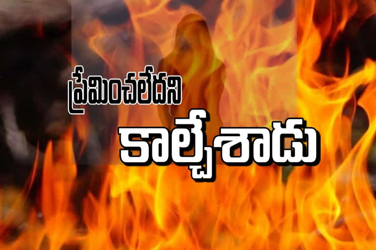 woman set on fire in vijayawada