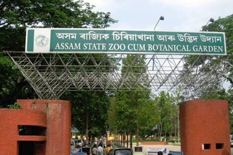 Assam zoo