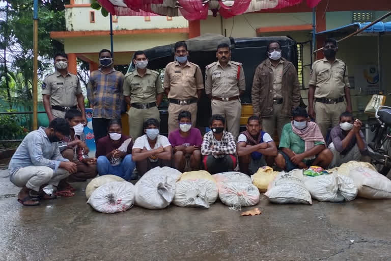 Police have seized a large quantity of Natsara packets in Saluru