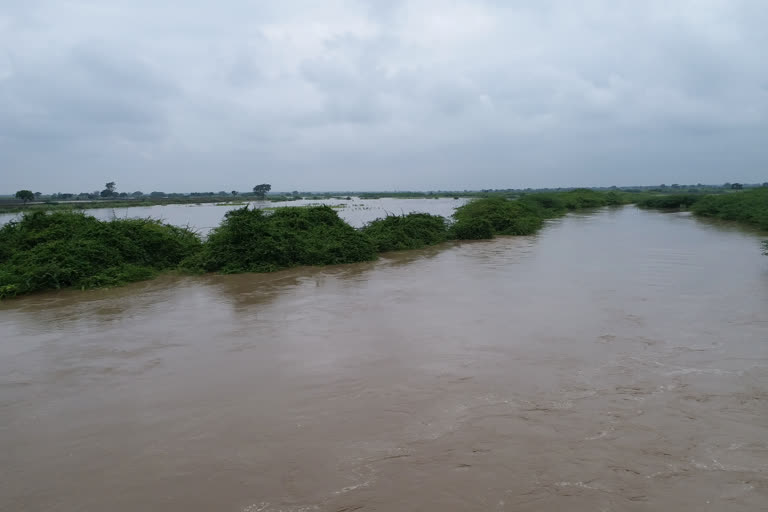 ಡೋಣಿ ನದಿ ಹೊಳೆತ್ತಲು ಎರಡು ದಶಕದಿಂದ ಆಗ್ರಹ