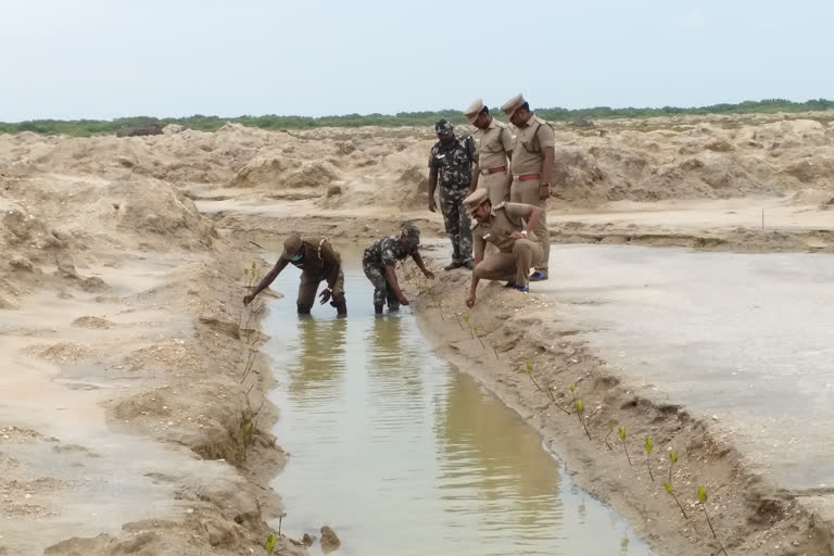 Tamil Nadu