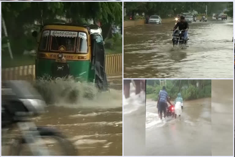 heavy rain in krishna district
