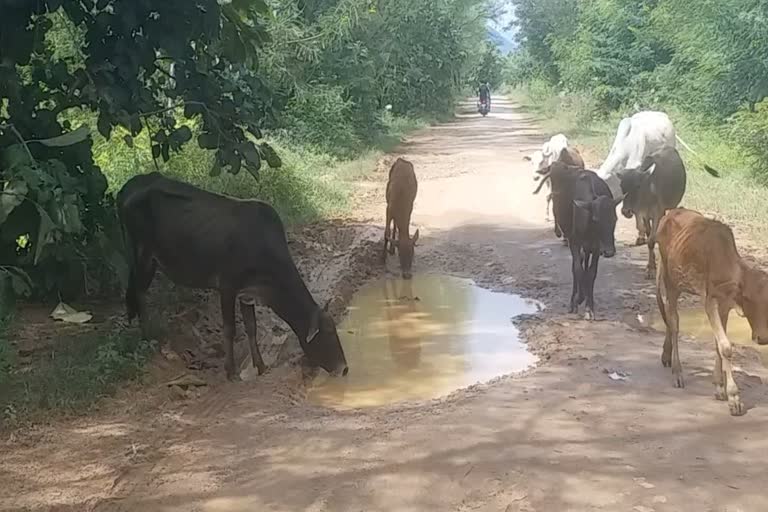 road  problem in  nuapada