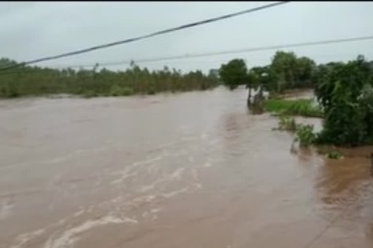 heavy rains in ashwarao pet constituency in bhadradri kothagudem district