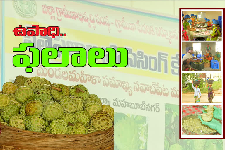 Custard Apple Processing unit in Navabpet Mandal Mahabubnagar District