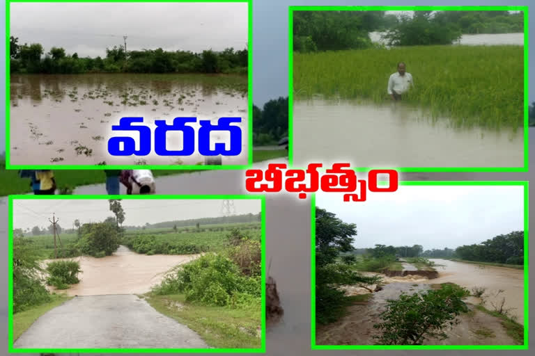 heavy rain in khammam district