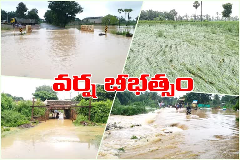 ఉంగుటూరులో కుండపోత వర్షం... రైతులకు అపార నష్టం