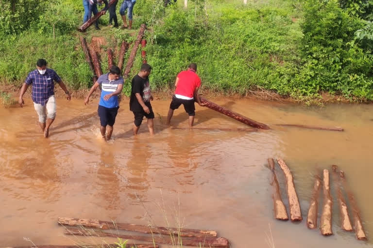 100-red-sandalwood-seized-in-chittoor-sheshachala-forest