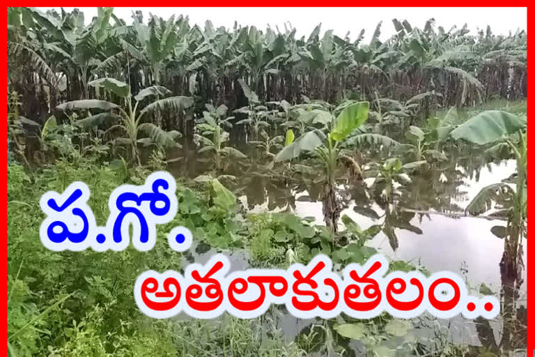 భారీ వర్షాలతో అతలాకుతలం.. భయాందోళనలో ప్రజలు