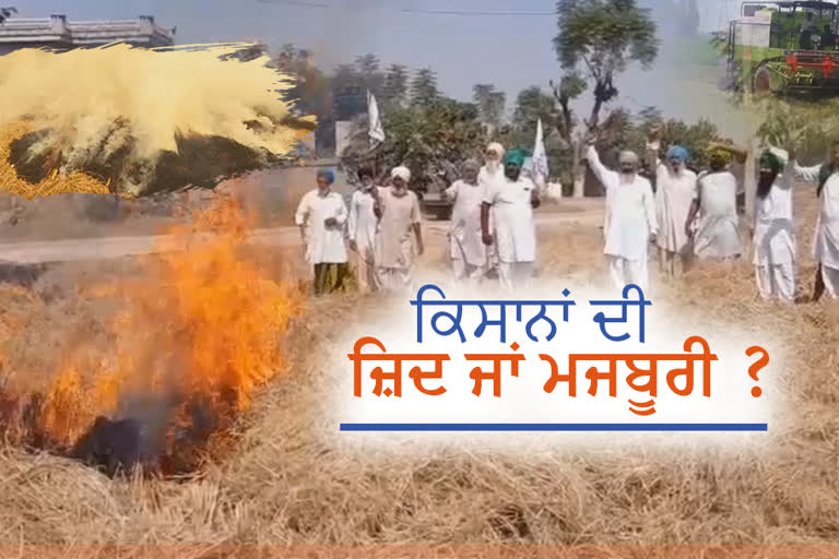 Stubble burning in punjab