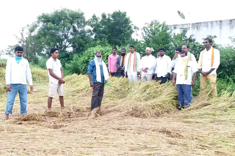 'పంటలు నష్టపోయిన రైతులను ప్రభుత్వం ఆదుకోవాలి'