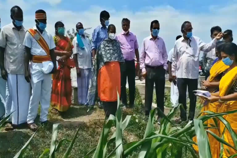 agriculture-director-inspects-ariyalur-corn-fields