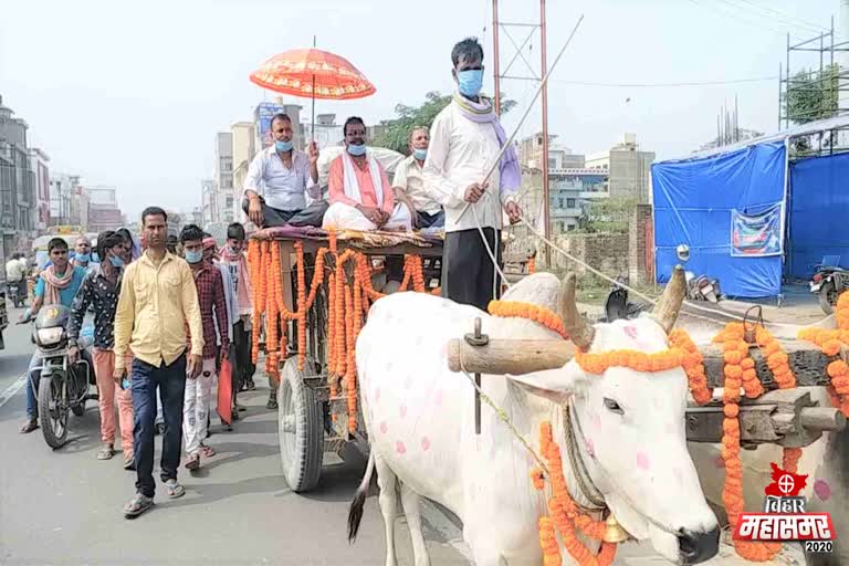 independent-candidate-on-bullock-cart