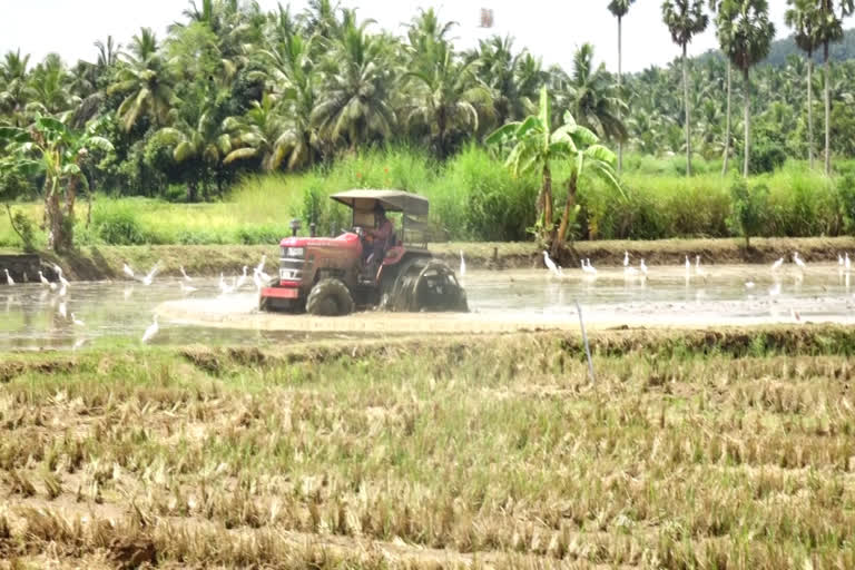 ONGALLUR IRRIGATION CANAL  പാലക്കാട്  ഓങ്ങല്ലൂർ  പാമ്പാടി  കൊണ്ടൂർക്കര  നെൽ കർഷകർ  ട്രാക്ടറുകൾ