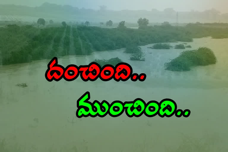 కృష్ణా, గుంటూరు జిల్లాల్లో జోరు వాన.. నీటిపాలైన పంట