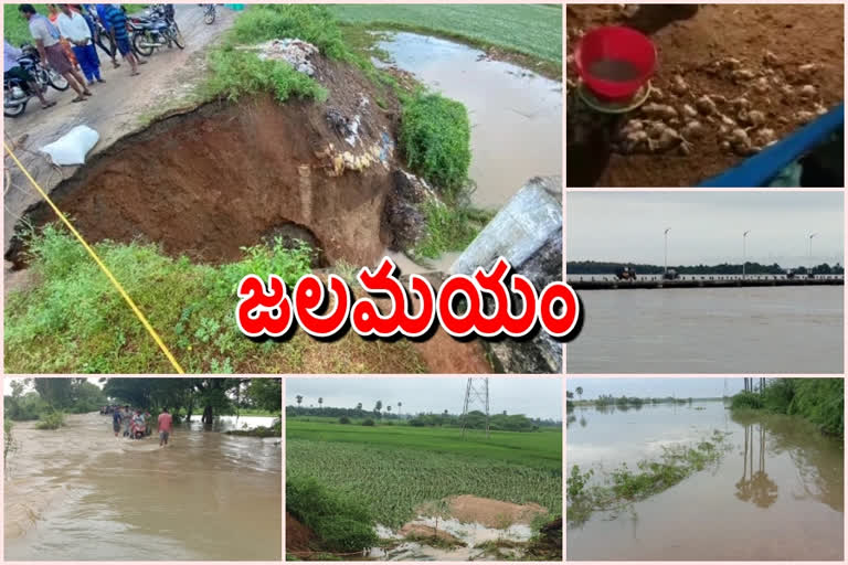 flood effect in krishna district