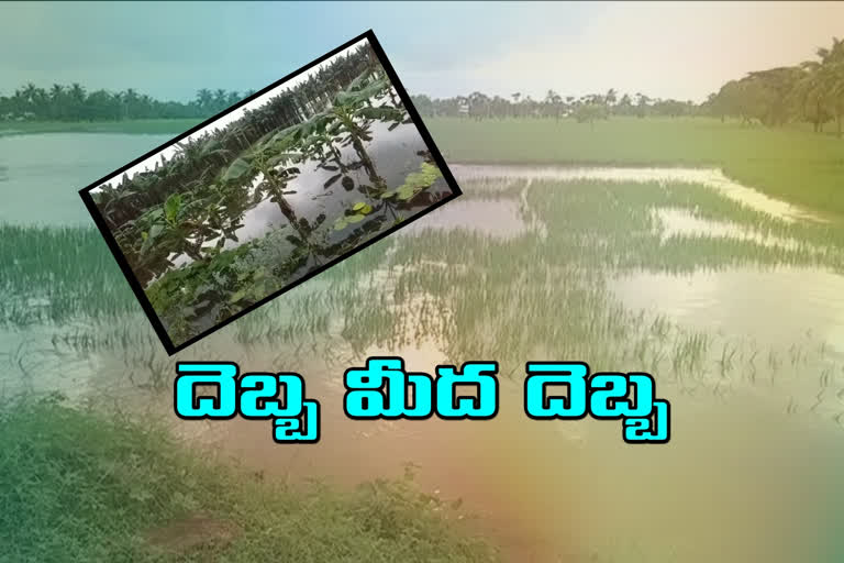 నీటిపాలైన పొలాలు.. లక్షన్నర ఎకరాల్లో పంట నష్టం!