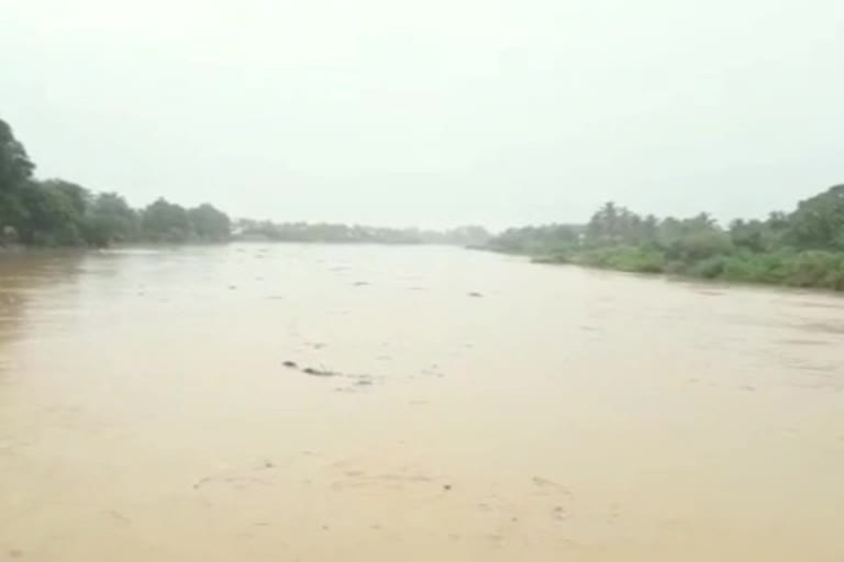 heavy water flow in west godavari