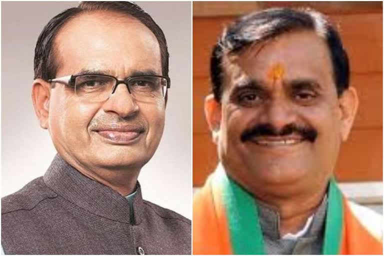 BJP released list of its 30 star campaigners