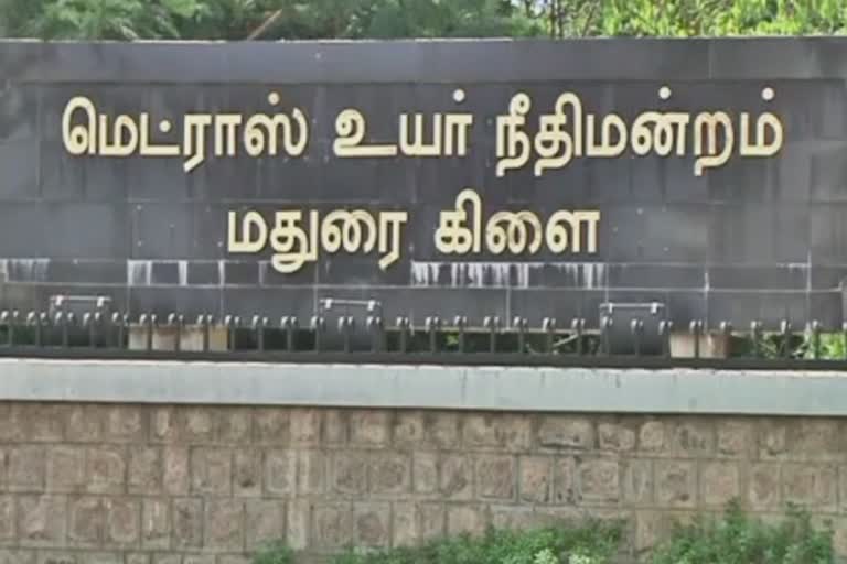 madurai hiigh court bench