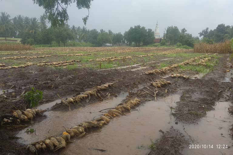 Livelihood disruption due to heavy rain in Athani