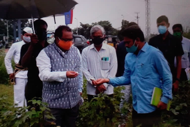 mahaboobnagar collector venkatrao visited in jadcharla