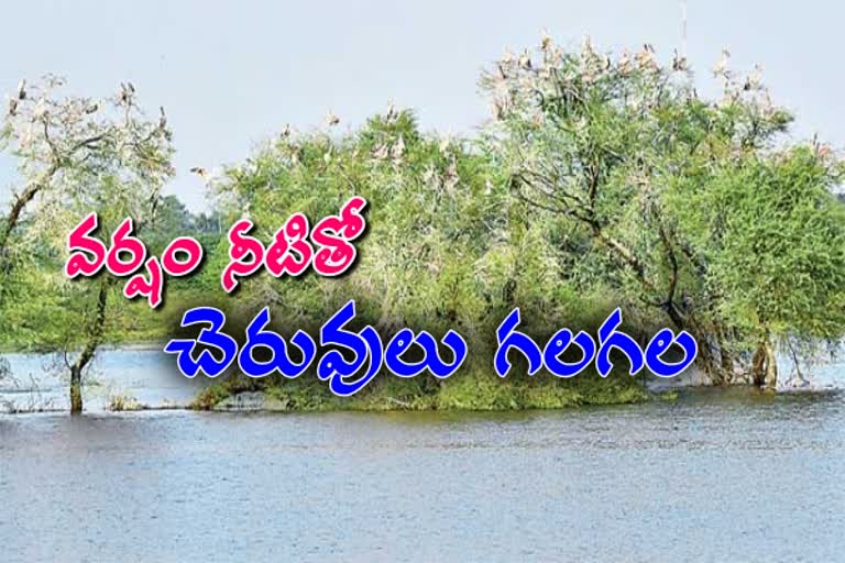 నిండుకుండల్లా చెరువులు.. పూర్తిస్థాయి నీటిమట్టాలతో కళకళ