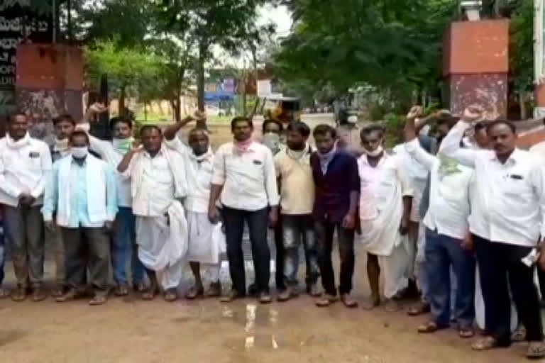 corn farmers protest at collectorate in aadilabad district