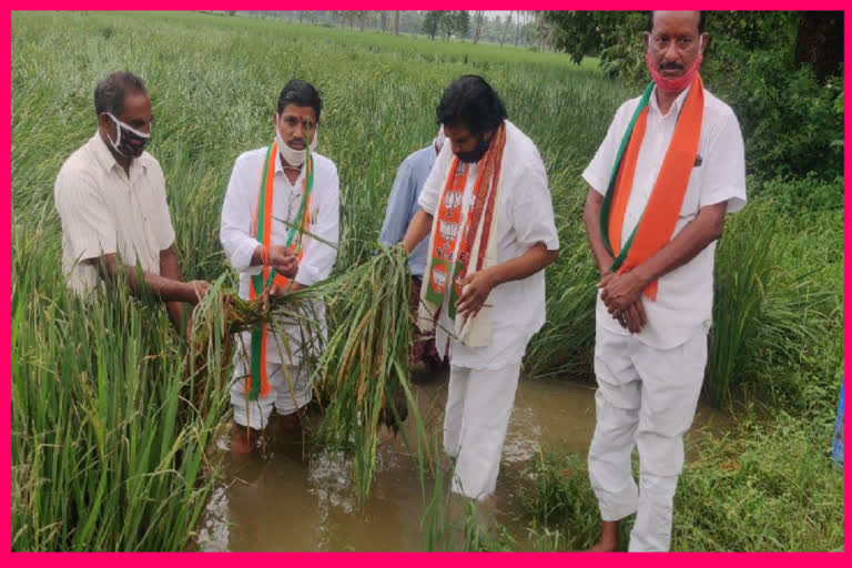 ప్రతి రైతును సర్కారే ఆదుకోవాలి : భాజపా నేత పాలూరి