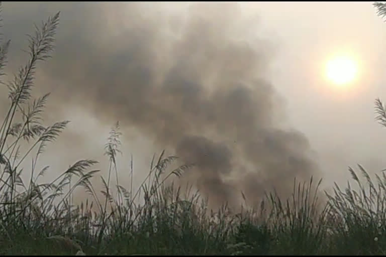 Fire in Biodiversity Park of Burari