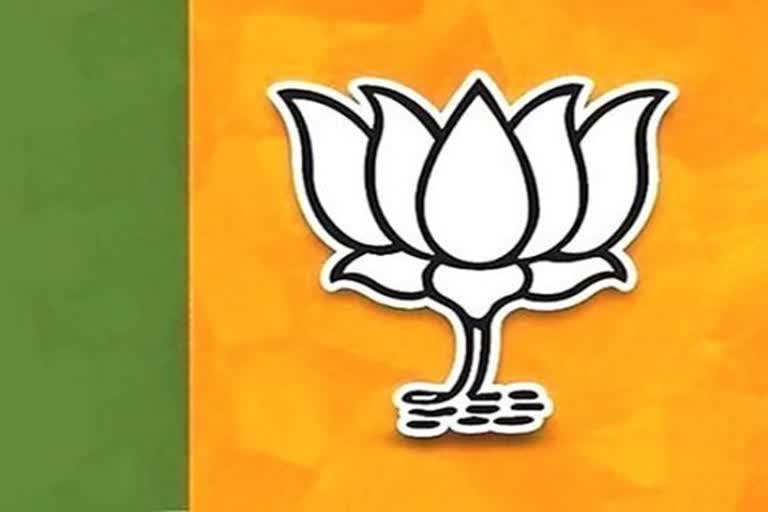 bjp candidate baroda bypoll