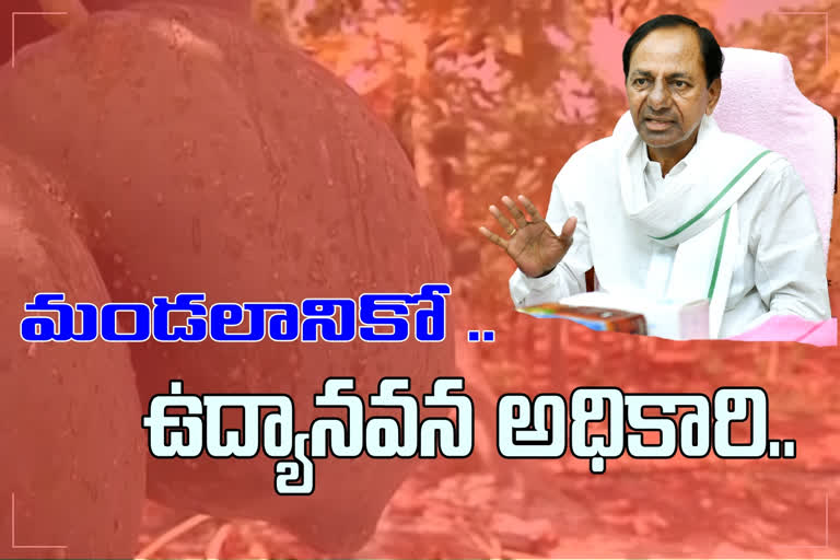 kcr review on horticulture