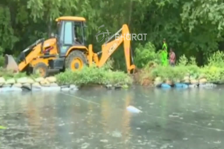 attack on prohibited catfish business spot