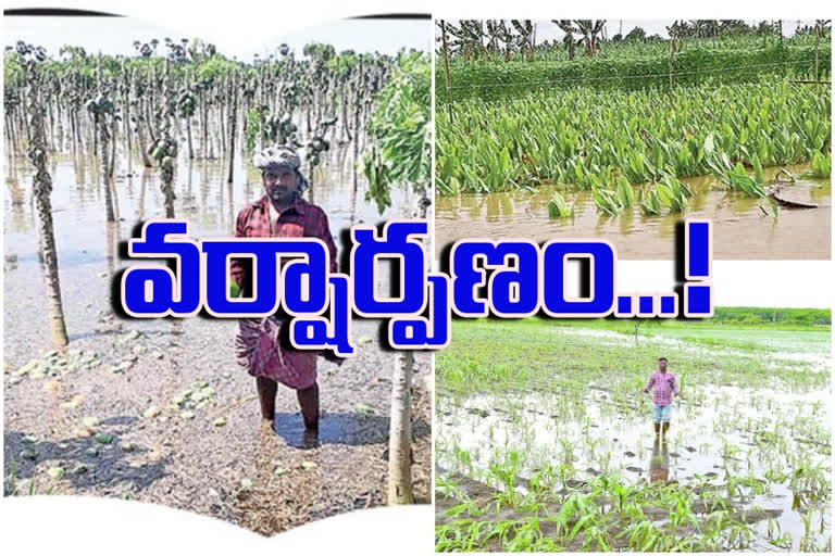 floods at krishna district