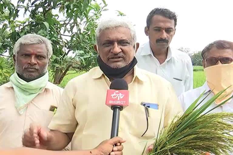 tpd leaders demand Compensation for farmers in telangana