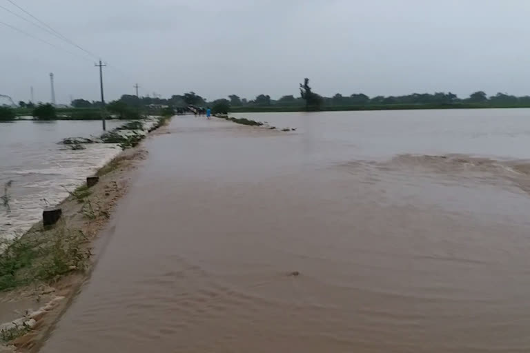 Satihala Bridge is underwater for heavy rain