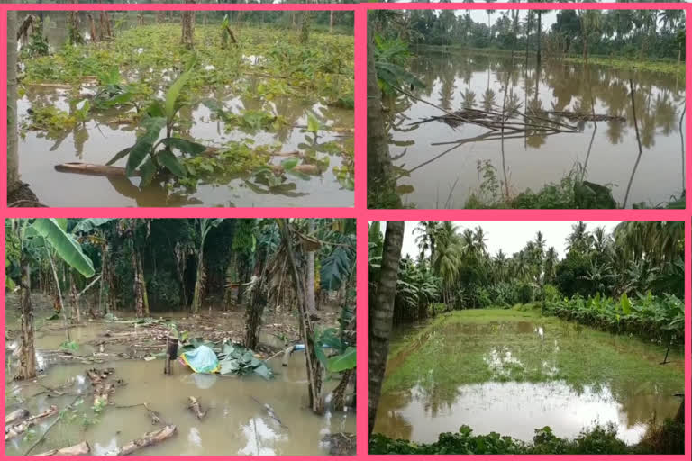 Officials assessed the damage to submerged farms in Konaseema