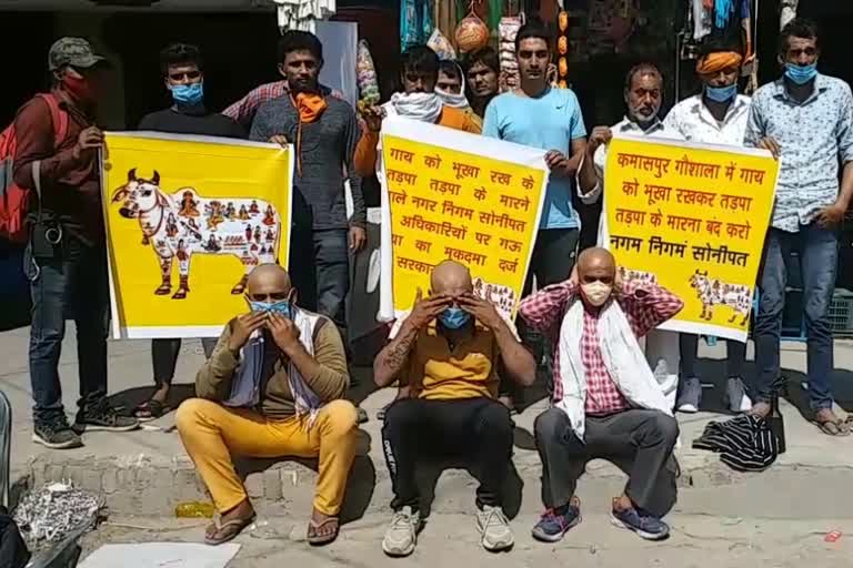 cow servants Protest in Sonipat